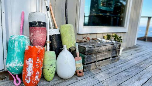 Seguinlandia - Foto 2