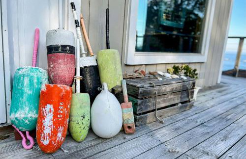 Seguinlandia - Foto 2