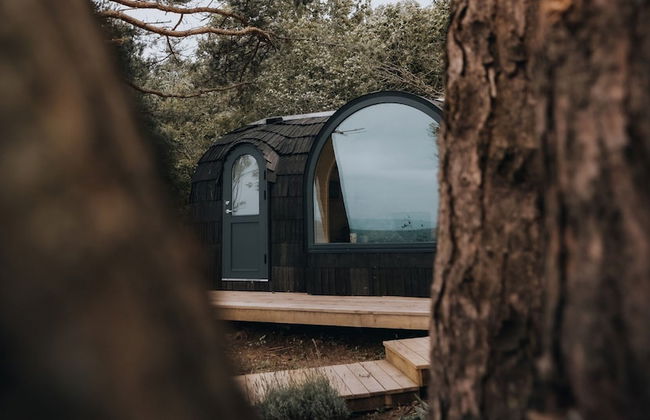 The Forest at Mount Congreve Gardens - Foto 5