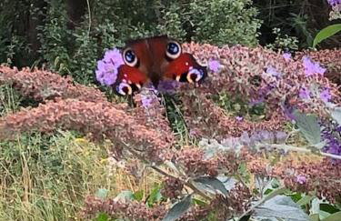 Barn Owl Lodge with Hot Tub - Adults Only - Foto 13