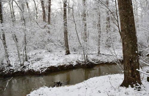 Peaceful Hideaway Treehouse near Little River Canyon - Foto 23