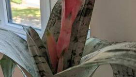 Stylish, Peaceful 2-Bed Flat with Free Parking - Foto 3