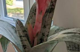 Stylish, Peaceful 2-Bed Flat with Free Parking - Foto 3