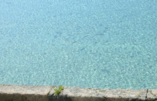 Apartamento Na Beira Do Mar - Foto 28