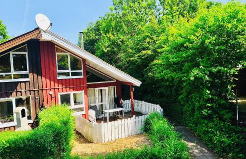 Komfort-Ferienhaus Sonnental #50 - Foto 1