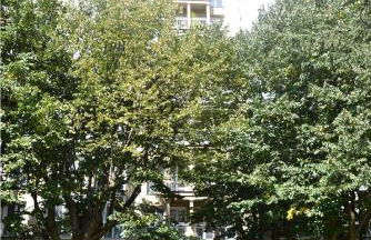 Apartamento PioXII Center - Foto 25
