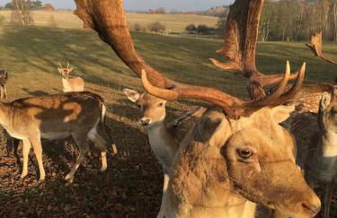 Große Wohnung mit Loggia - Photo 68