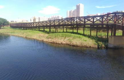 PERLA BLANCA I Peñíscola - Foto 37