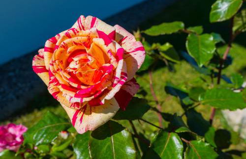 Ferien beim Baur - Foto 42