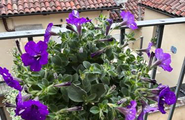 Bon Bon Luxury di piazza San Secondo - Foto 29