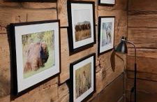 Domek pod Jabłonią - z balią - Foto 2