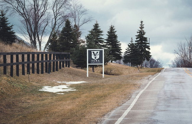 Ann Riley Farmhouse Yuba Vineyards - Foto 71