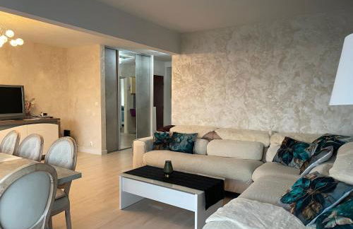 Bel appartement spacieux et lumineux de 100m2 au 3e étage avec ascenseur -A 5mn à pied du parc des expositions congrès de Dijon et ENG et 10mn du centre ville place Parking devant l'immeuble - Foto 20