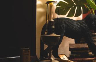 L'Insolite, expérience safari chic à Saumur - Foto 16