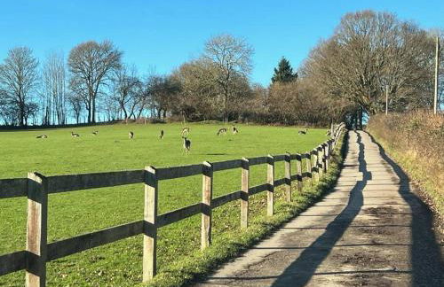 Arniss New Forest - Photo 50