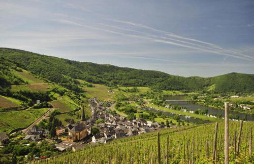 Gästehaus Sehl - Foto 22