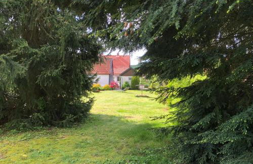 Idas Garten - Foto 44