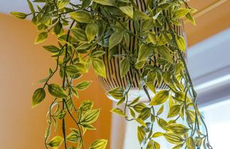 Cozy Corner, stylish 1bed near Navy Base! - Foto 18