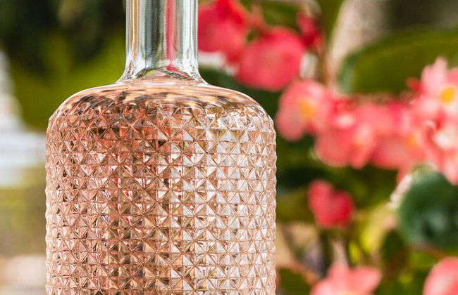 Tour de Quesos y Gins Todo Incluido en las colinas del Prosecco. - Foto 6