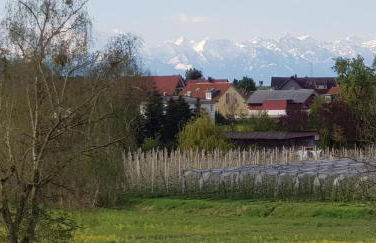 Alpenblick 3 - Foto 16