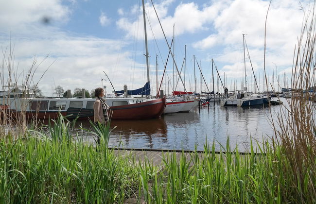 6 Pers - Chalet Emma Located at the Lauwersmeer With own Fishing Pier - Foto 40