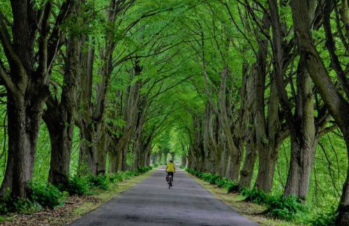 Letnia Ostoja Wieprz - Foto 15