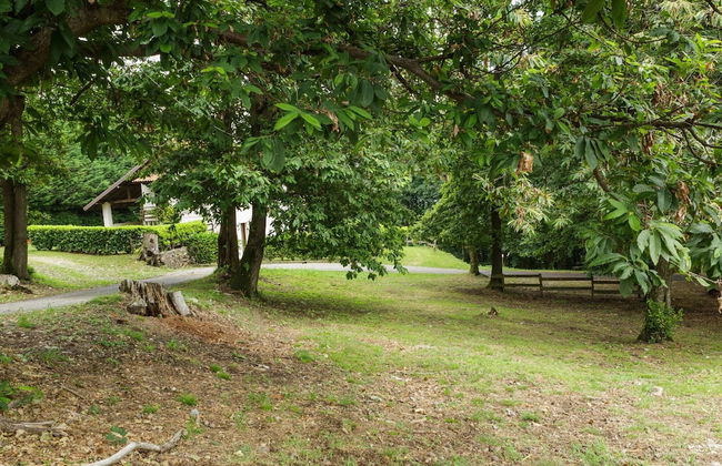 Unique Holiday Experience in Greenery near Lake - Foto 35