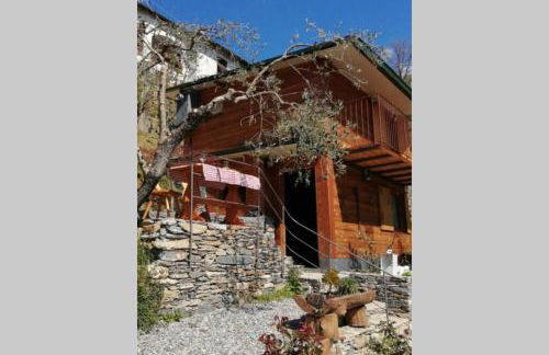 La Casetta di Molly tra ulivi e roseto - Foto 1