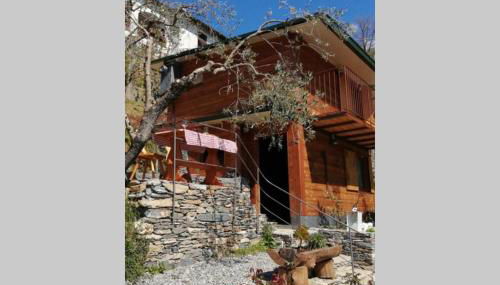 La Casetta di Molly tra ulivi e roseto - Foto 1