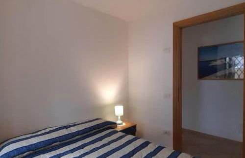 Il rosmarino - Foto 16