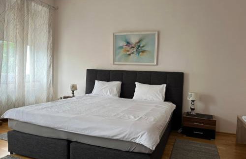 Waldshut-Zentrum - Foto 2