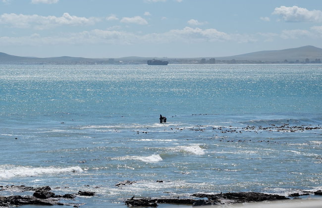 Sandringham 45 - Foto 5