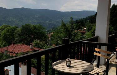 Panorama Elati - Foto 7