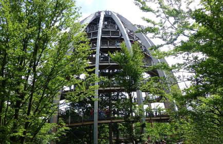 Ferienwohnung Köck - Foto 44