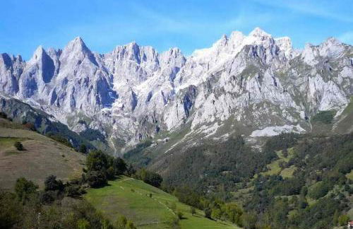 La Casa de Fidela - Foto 6