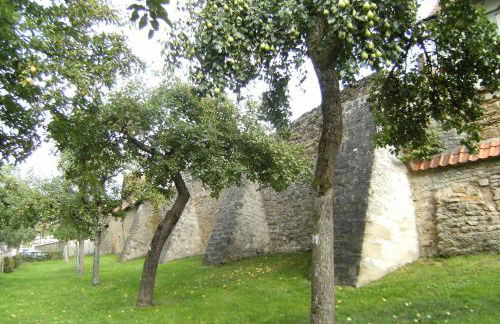 Die Gönothek - Ferienwohnungen - Foto 9