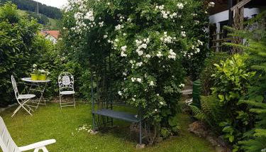 Schwarzwaldhaus - Foto 2