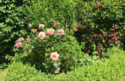 Ferienwohnung Südel - Foto 23