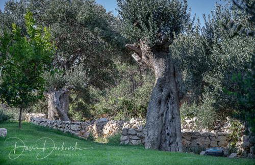 Island Villa Adriana with heated pool and sauna - Foto 48