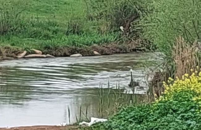 Villa & Lode Bat Galil - Photo 61