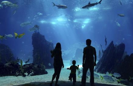 Long Beach House - Foto 55