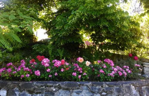 Il Pezzatino - Foto 128