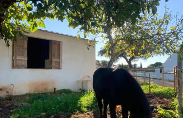 Herdade Da Maridona - Agroturismo - Foto 9