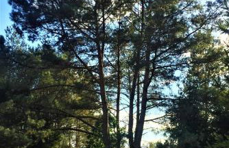 Dom Letniskowy na Kaszubach z podgrzewanym basenem - Foto 25