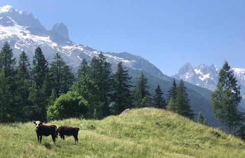 Appartement Arolles - Photo 31