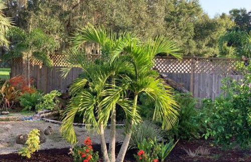 Tropical getaway Pool and tiki bar - Photo 52