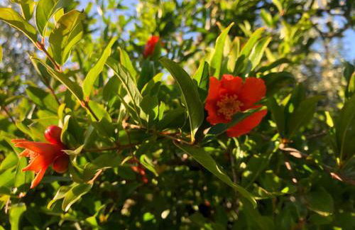 Beautiful Farm House - Foto 10