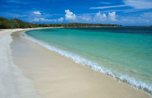 Agriturismo Agrifoglio - Foto 17