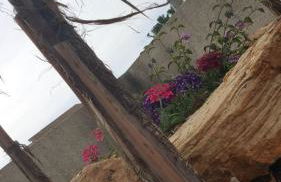 Linda Casa Vacanze - Foto 63