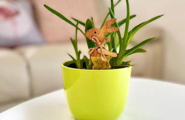 Apartments Vukancic - Foto 16